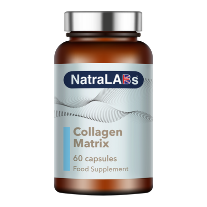 Collagen Matrix